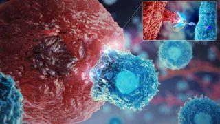 CAR-T细胞疗法视频封面图片:视频说明了澳门第一赌城在线娱乐对免疫系统的理解如何帮助操纵T细胞来帮助对抗癌症